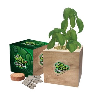 Eco Cube