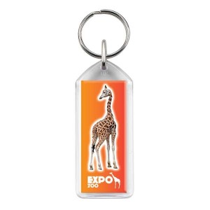 Oblong Plastic Key Ring