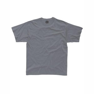 SG Ladies Heavyweight T-Shirt