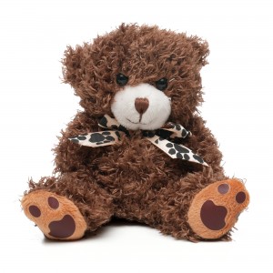 Medium Paw Teddy