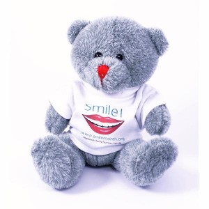 Red Nose Bear with T Shirt 150mm