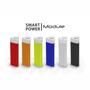 2200 MAH Module Powerbank