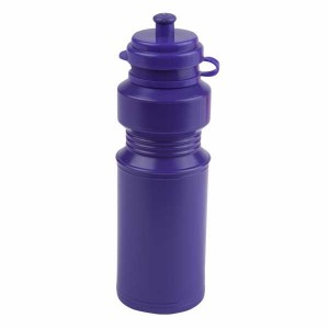 250ml LUNCHBOXER Drinks Bottle