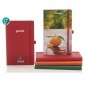 Castelli Ivory Tucson Pocket Notebook