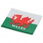 60mm Soft PVC Fridge Magnet