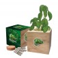 Eco Cube