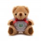 Small Jointed Teddy