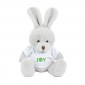 15cm Plush Rabbit with T- Shirt
