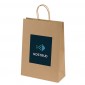 Ashdown Medium Kraft Paper Gift Bag - Full Colour