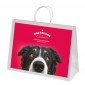 Ashdown White XL Paper Gift Bag - Full Colour