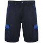 Tahoe 250 g/m2 workwear shorts