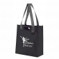 Expo Bag