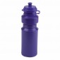 250ml LUNCHBOXER Drinks Bottle