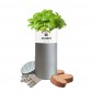 Desktop Tube Garden 