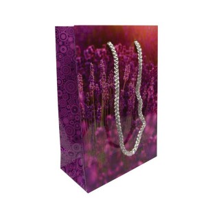 Laminated Small Gift Bag - Full Colour