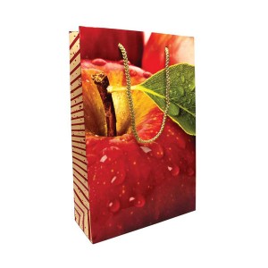 Laminated Gift Bag - Full Colour