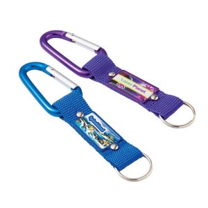 Carabiner Key Ring