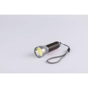 Mini COB Light