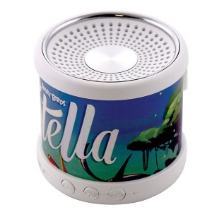 Vinyl Speaker