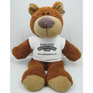 15 Inch Buster Bear with T-Shirt - Full Colour