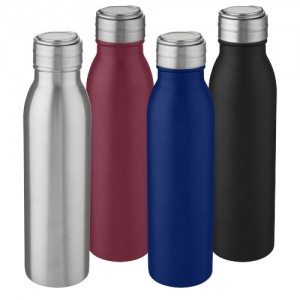 Harper 700 ml stainless steel water bottle with metal loop
