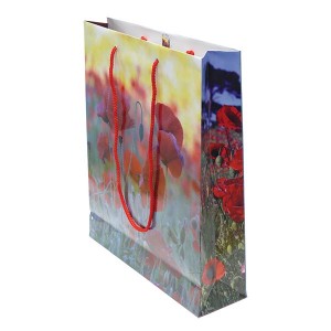 Laminated Exhibition Bag
