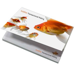 NoteStix Card Cover Adhesive Pads 105 x 75mm