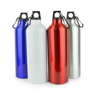 Pollock Glossy 750ml Sports Bottle 